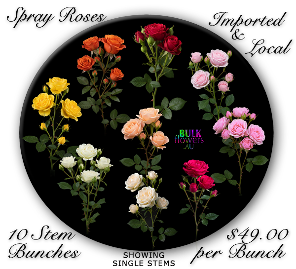 SPRAY ROSES